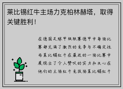 莱比锡红牛主场力克柏林赫塔，取得关键胜利！