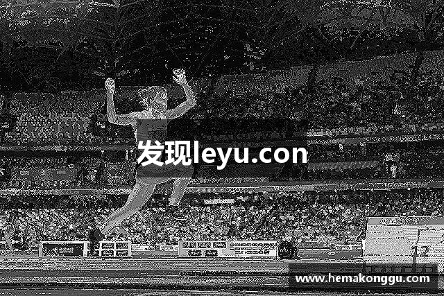 发现leyu.con